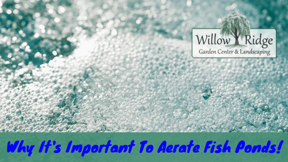 aerate fish ponds