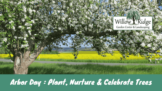 arbor day