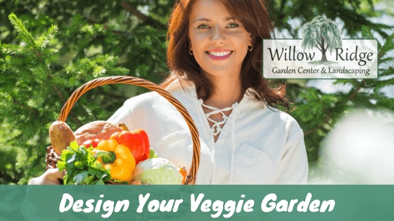 design your veggie garden