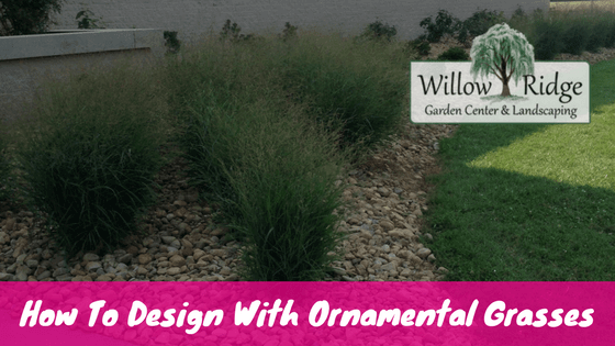 design with ornamental grasses