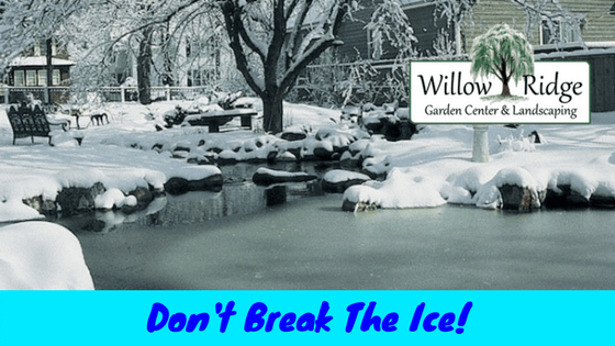 don't break the ice
