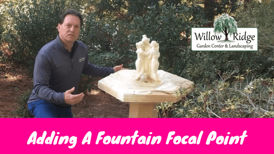 fountain focal point