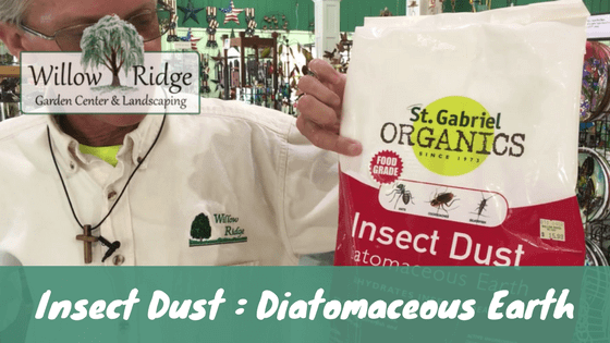 insect dust diatomaceous earth