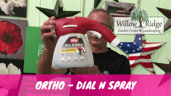 dial n spray