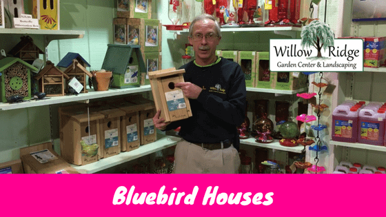 bluebird houses