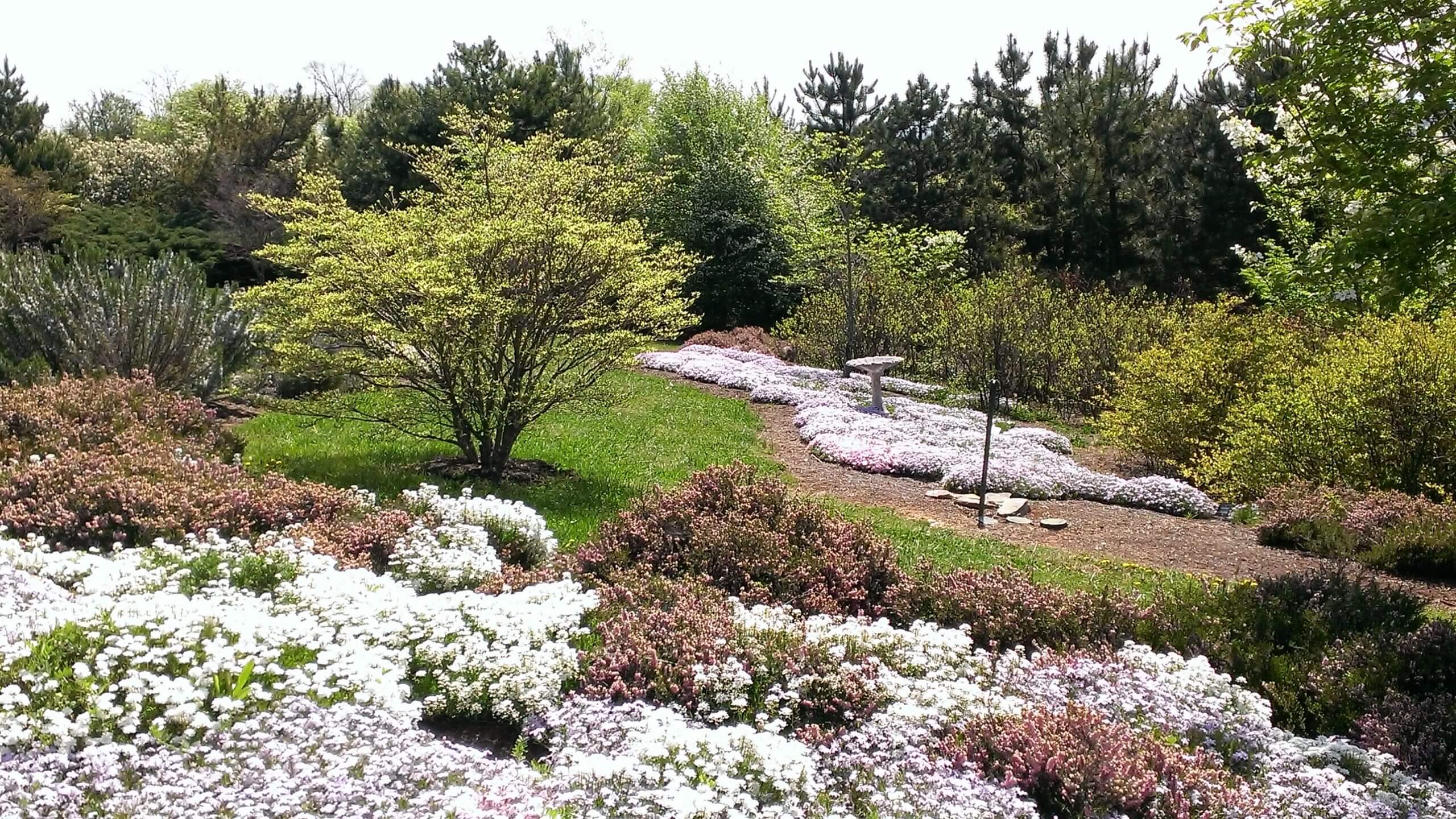 Country Garden Style Landscape Design in Knoxville, TN.