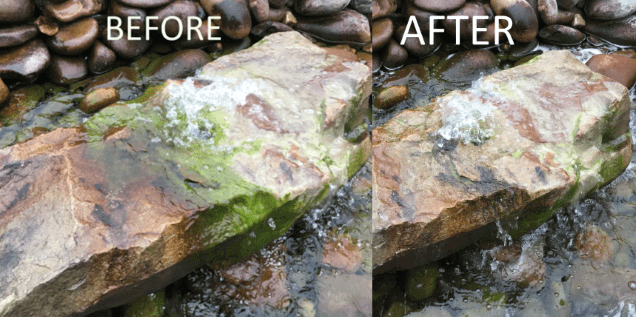 Control Algae With Ecoblast