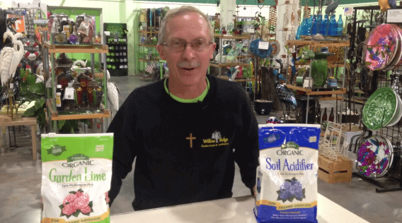 how to change the color of your hydrangeas