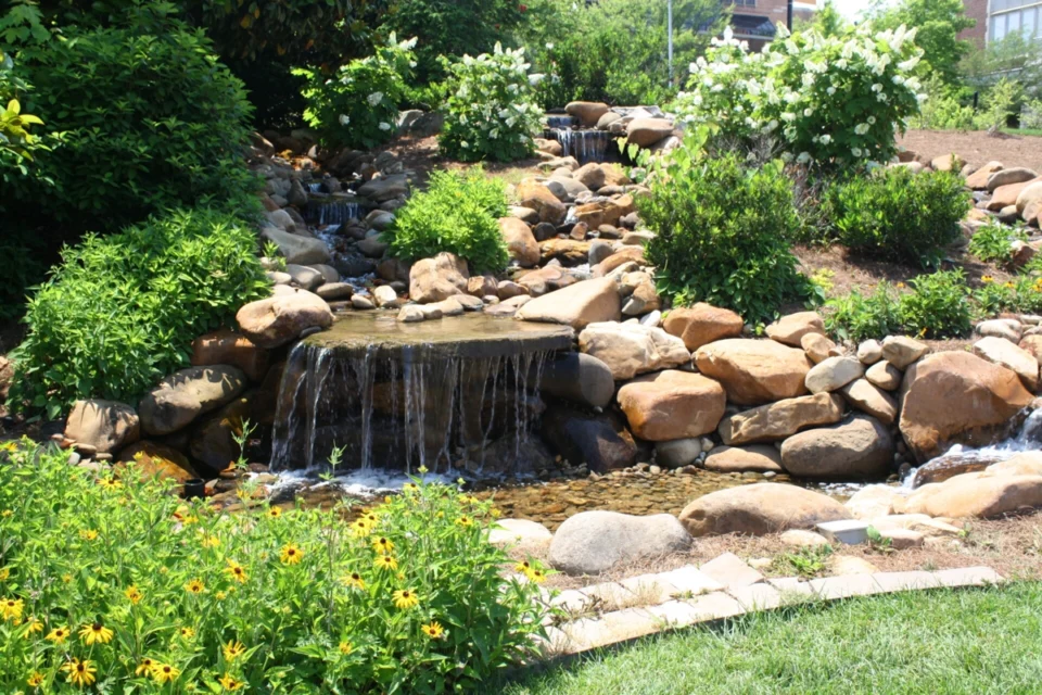 Water Falls Pond