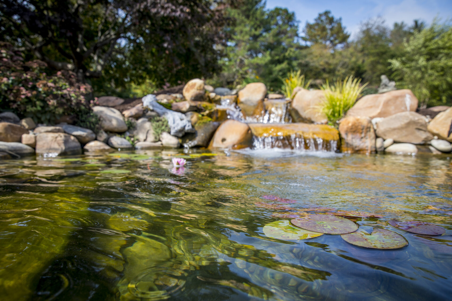 Pond Construction Services
