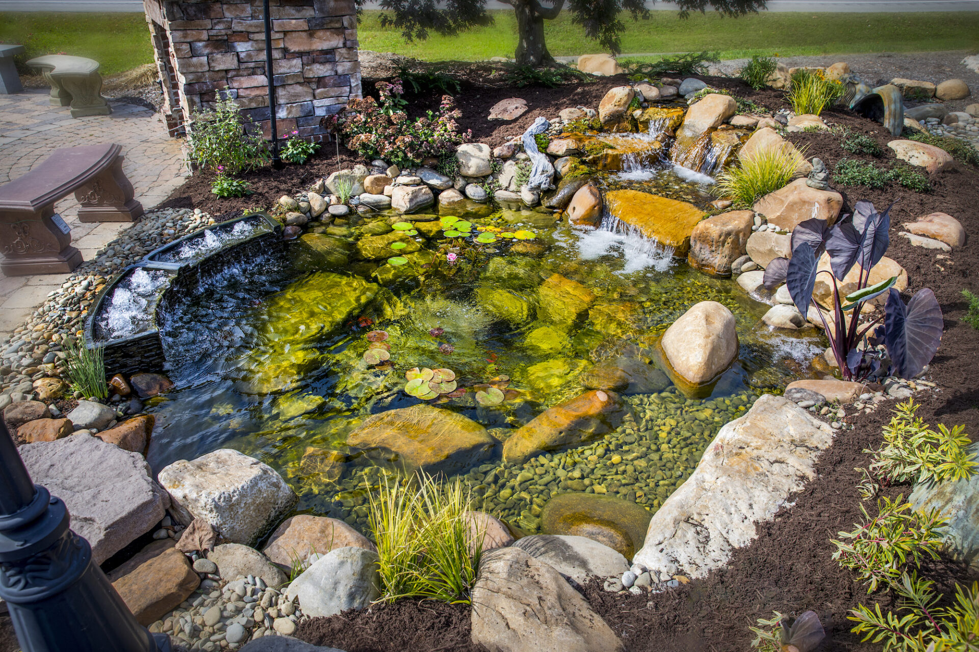 Pond Repair Services Knoxville TN