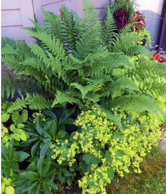 Repetition Creates Harmony