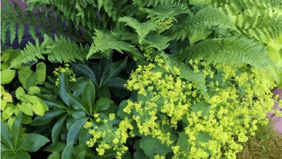 Repetition Creates Harmony