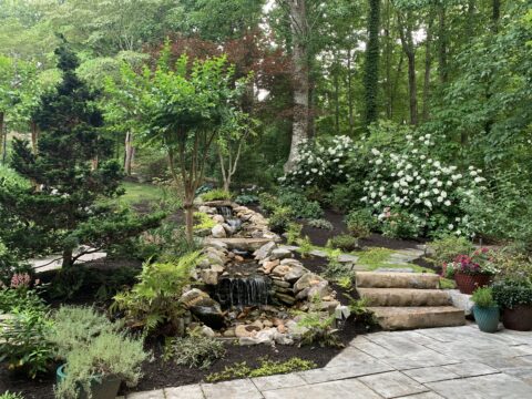 4 Plants That Look Great All Year Long