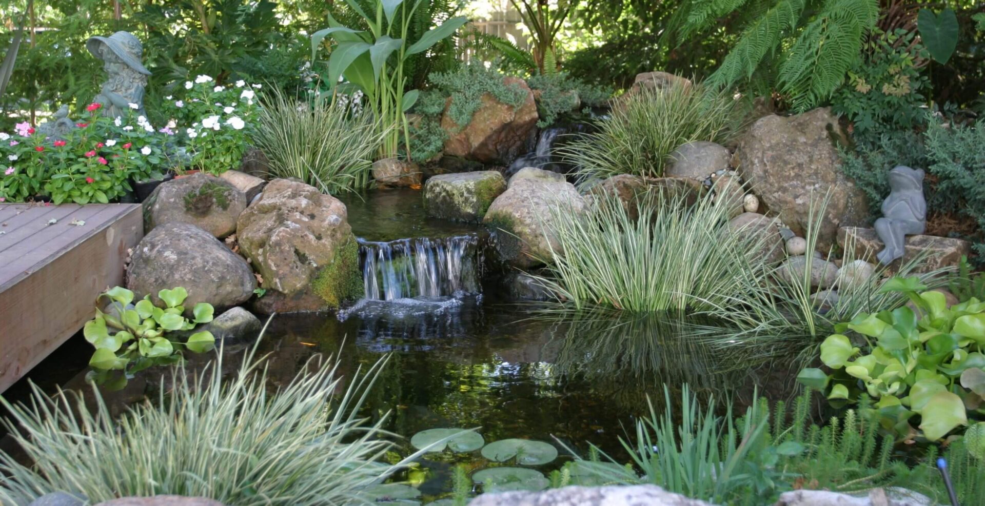 Marginal Water Plant