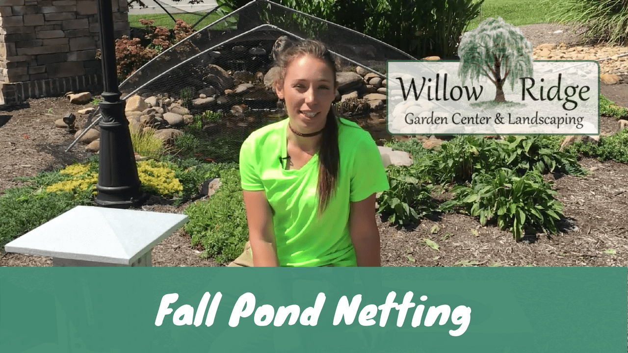 fall pond netting