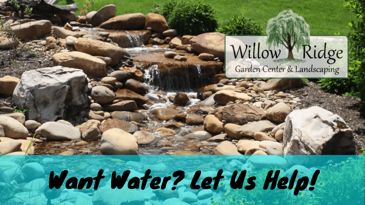 water feature design service