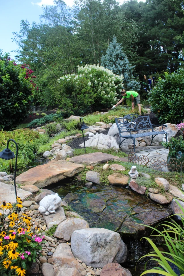 Landscaping Design 2