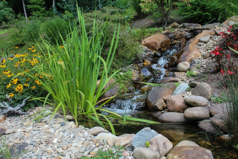 Landscaping design